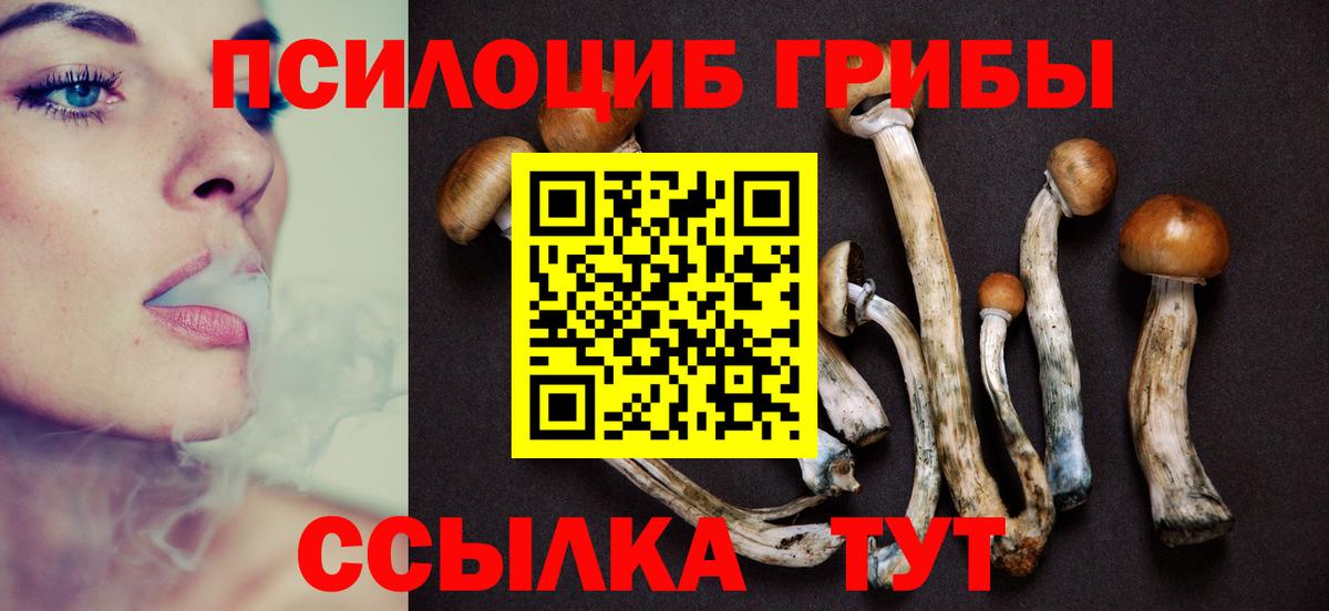 Елец  Галлюциногенные грибы Psilocybine cubensis  Вход с VPN 