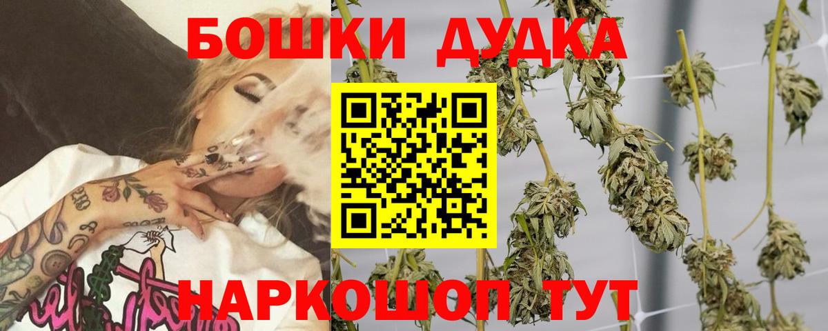 Бошки Шишки семена Елец